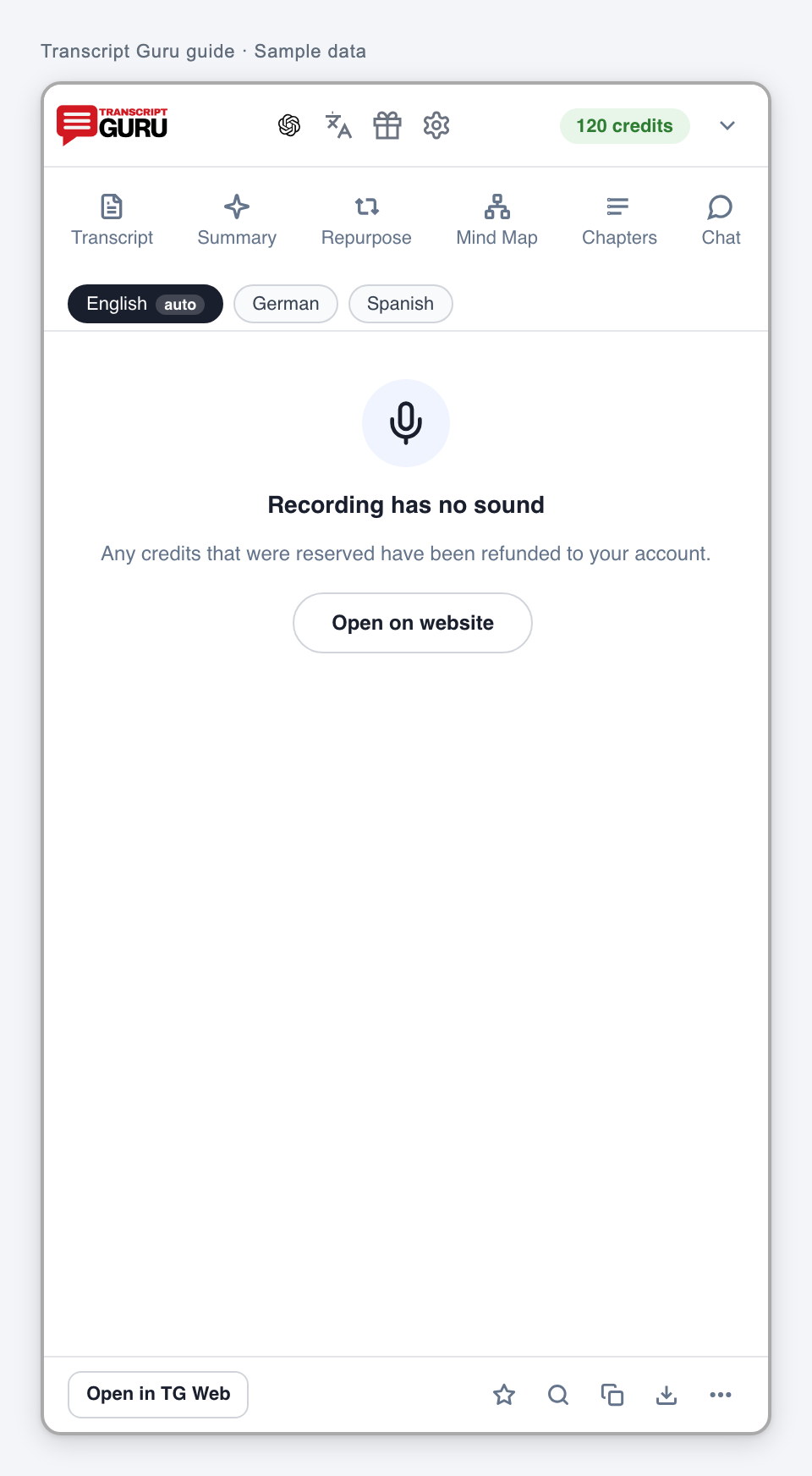 A recording with no sound. Current extension interface using sample data.